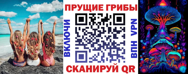 Псилоцибиновые грибы Cubensis Липецк